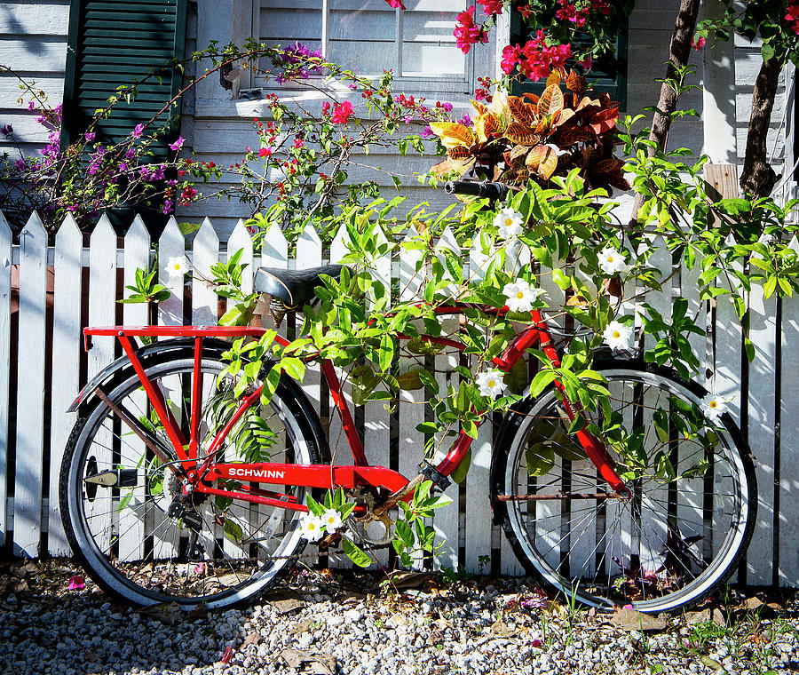 Schwinn red bike online vintage