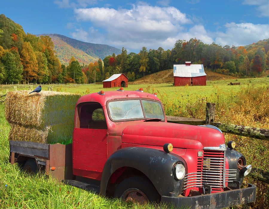 Vintage Red Truck at the Farm Photograph by Debra and Dave Vanderlaan