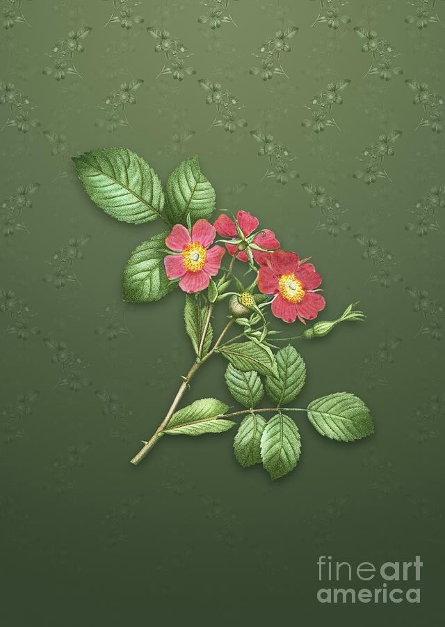 Vintage Redleaf Rose Botanical Art on Lunar Green Pattern n.0821 Mixed Media by Holy Rock Design