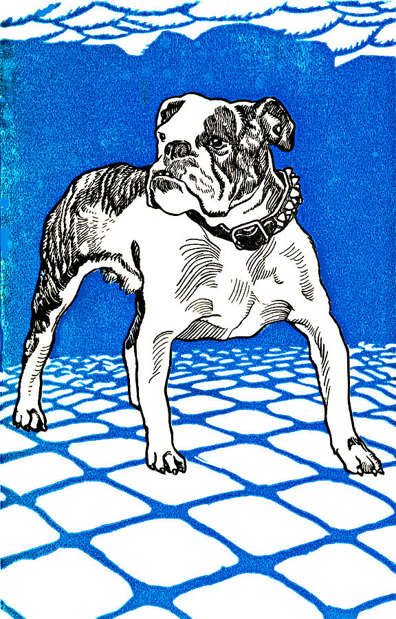 Vintage Retro English Bulldog Painting by Peter Ogden