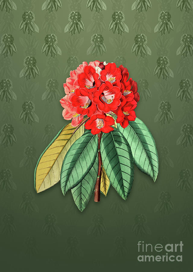 Vintage Rhododendron Rollissonii Botanical Art on Lunar Green Pattern n.0853 Mixed Media by Holy Rock Design
