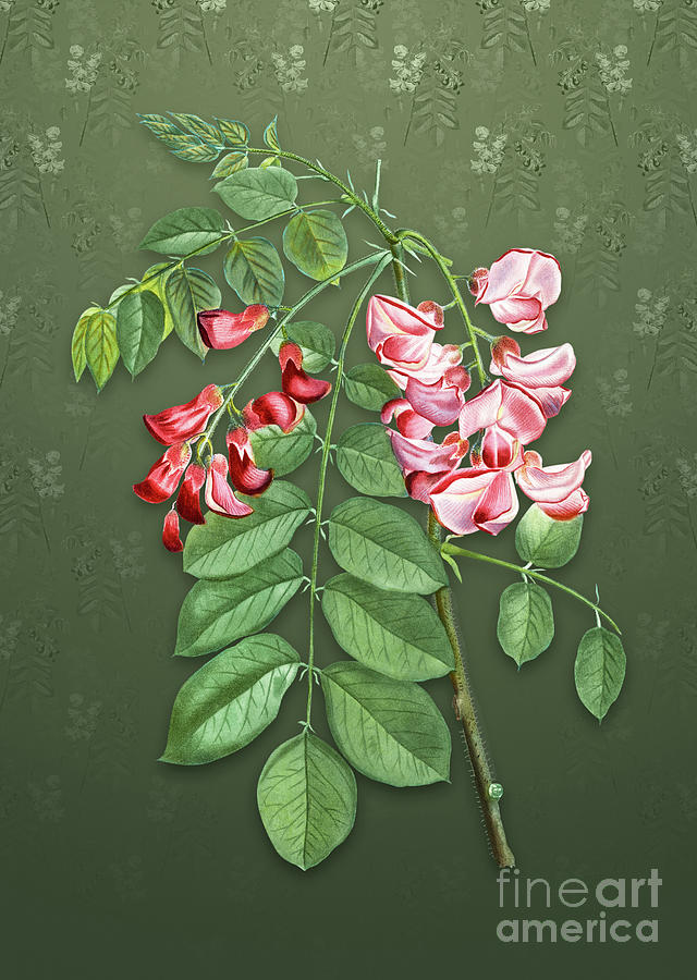 Vintage Robinier Rose Bloom Botanical Art on Lunar Green Pattern n.0903 Mixed Media by Holy Rock Design