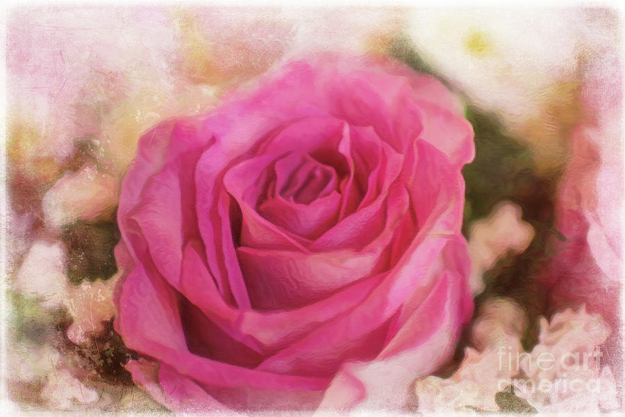 Vintage Rose Photograph by Amy Dundon