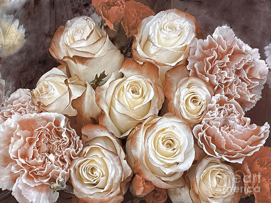 Vintage Roses Photograph by Janice Drew