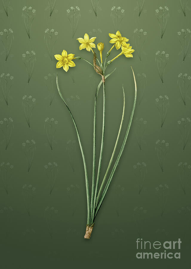 Vintage Rush Daffodil Botanical Art on Lunar Green Pattern n.0989 Mixed Media by Holy Rock Design