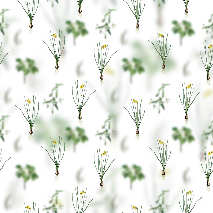Vintage Rush Leaf Jonquil Floral Garden Pattern on White n.2098 Mixed Media by Holy Rock Design