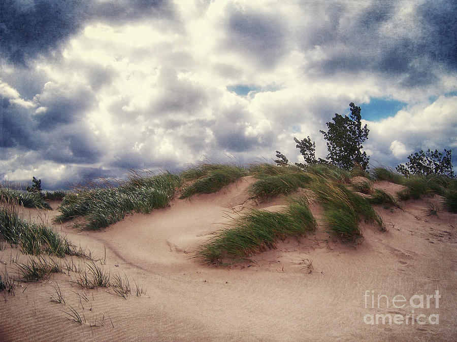 Vintage Sand Dunes Photograph by Phil Perkins