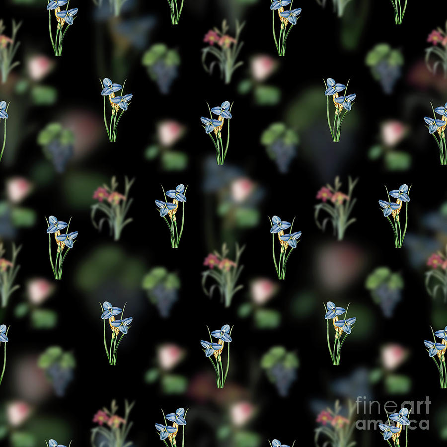 Vintage Sapphire Patersonia Floral Garden Pattern on Black n.2107 Mixed Media by Holy Rock Design
