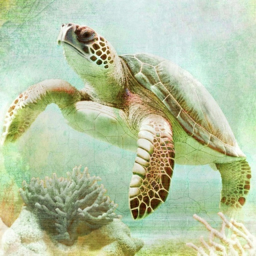 Vintage Sea Turtle Swimming Underwater Mixed Media