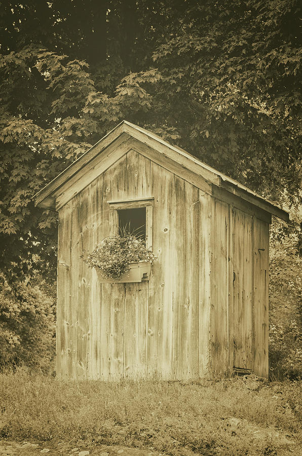 Vintage Shed Photograph by Eleanor Bortnick - Fine Art America