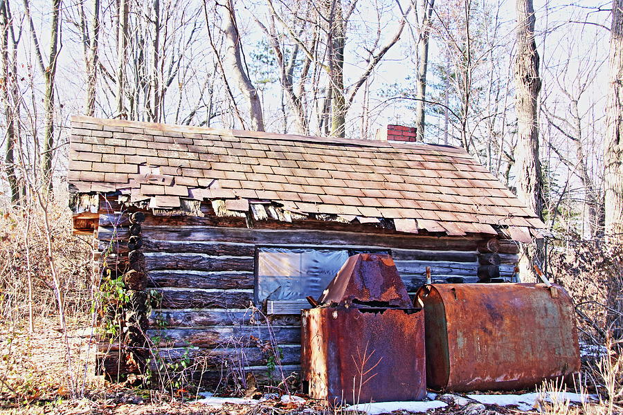 Vintage log shed Photograph by Gerald Salamone