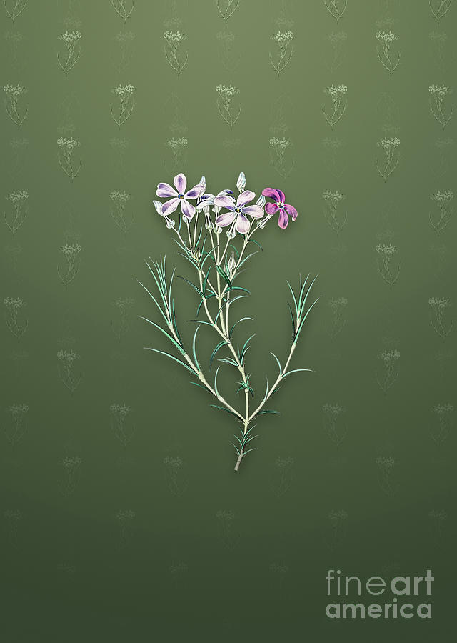 Vintage Shewy Phlox Flower Botanical Art on Lunar Green Pattern n.1114 Mixed Media by Holy Rock Design