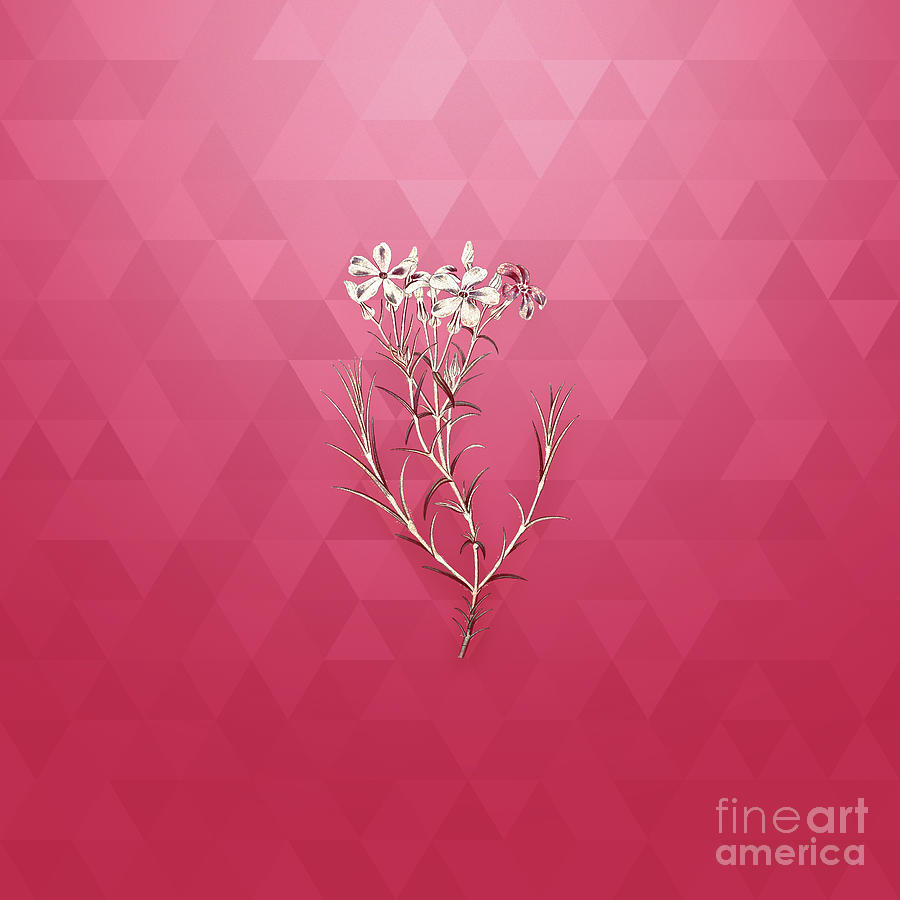 Flower Mixed Media - Vintage Shewy Phlox Flower in Gold on Viva Magenta by Holy Rock Design