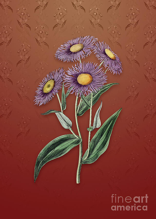 Vintage Shewy Stenactis Botanical Art on Falu Red Pattern n.2395 Mixed Media by Holy Rock Design