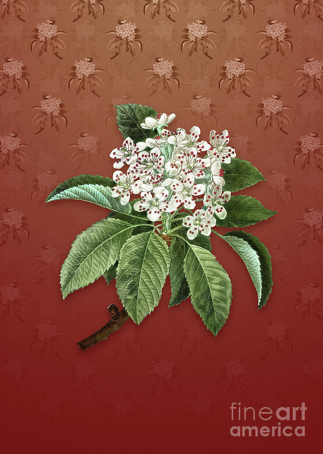 Vintage Shipova Botanical Art on Falu Red Pattern n.2543 Mixed Media by Holy Rock Design