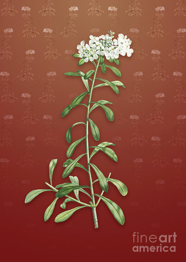 Vintage Small White Flowers Botanical Art on Falu Red Pattern n.2491 Mixed Media by Holy Rock Design