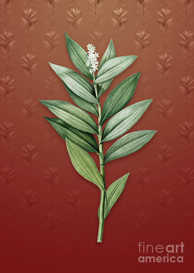 Vintage Smilacina Stellata Botanical Art on Falu Red Pattern n.2611 Mixed Media by Holy Rock Design