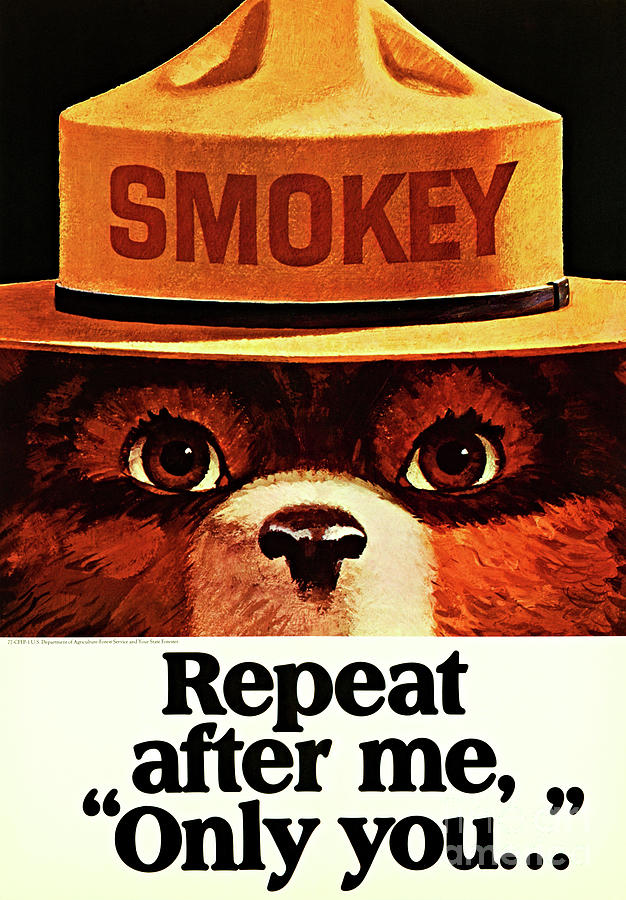 Vintage Smokey Bear Repeat After Me Painting by Peter Ogden