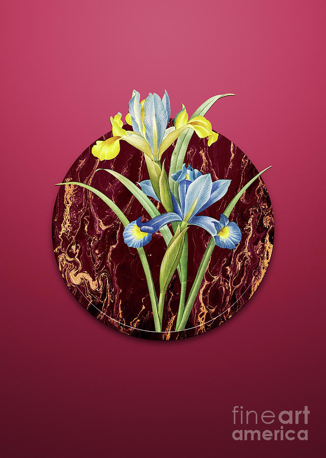 Vintage Spanish Iris Art in Gilded Marble on Viva Magenta Painting by Holy Rock Design