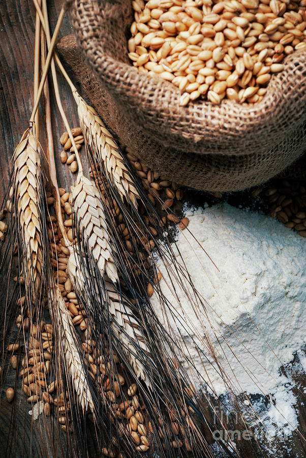 Vintage still life with flour, whole wheat grain in retr Photograph by Jelena Jovanovic