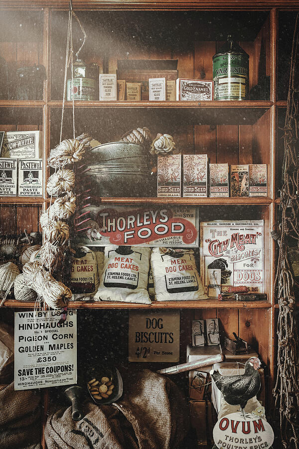 Vintage Store Photograph