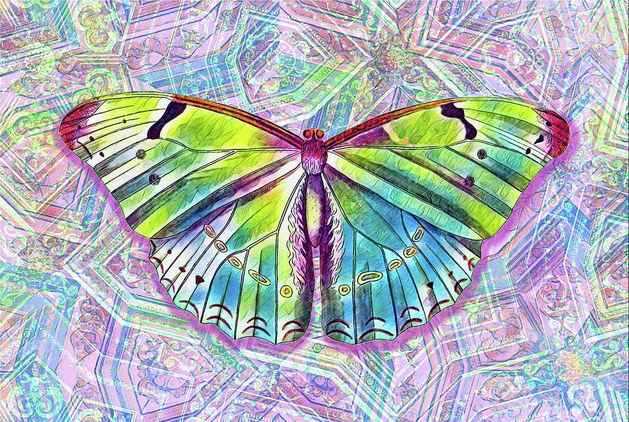 Vintage Style Butterfly in Pink Digital Art by Gaby Ethington