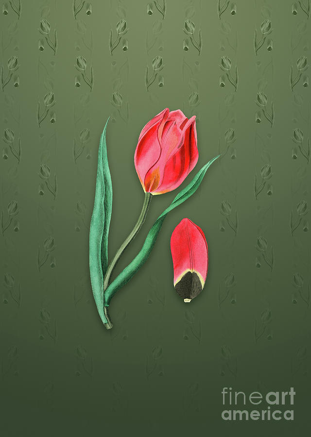 Vintage Suns Eye Tulip Botanical Art on Lunar Green Pattern n.0869 Mixed Media by Holy Rock Design