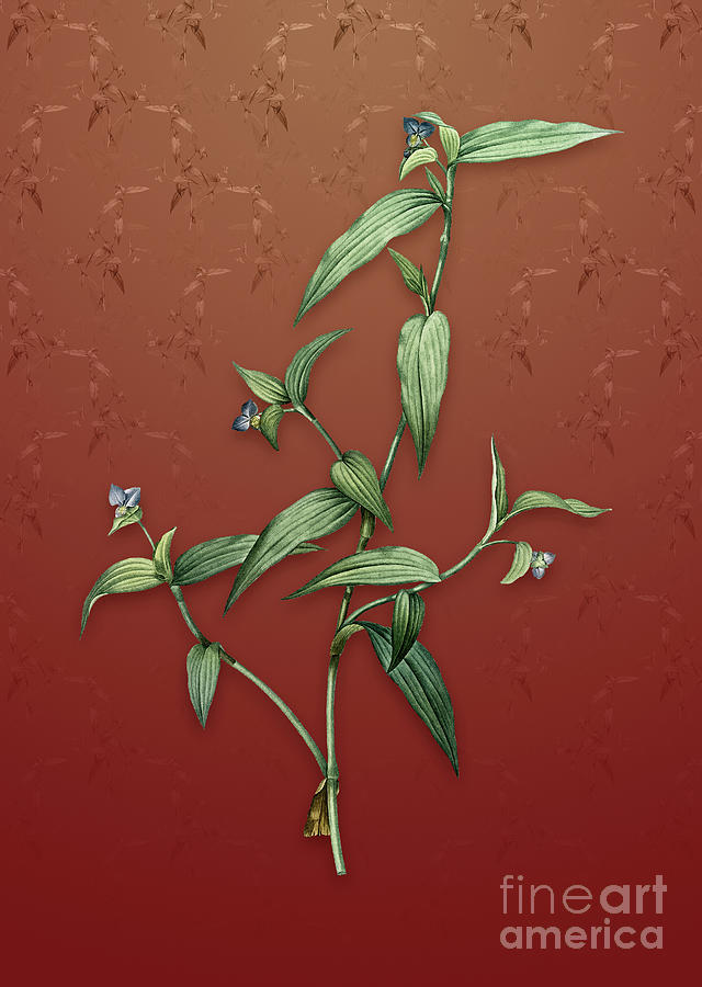Vintage Tagblume Botanical Art on Falu Red Pattern n.1434 Mixed Media by Holy Rock Design