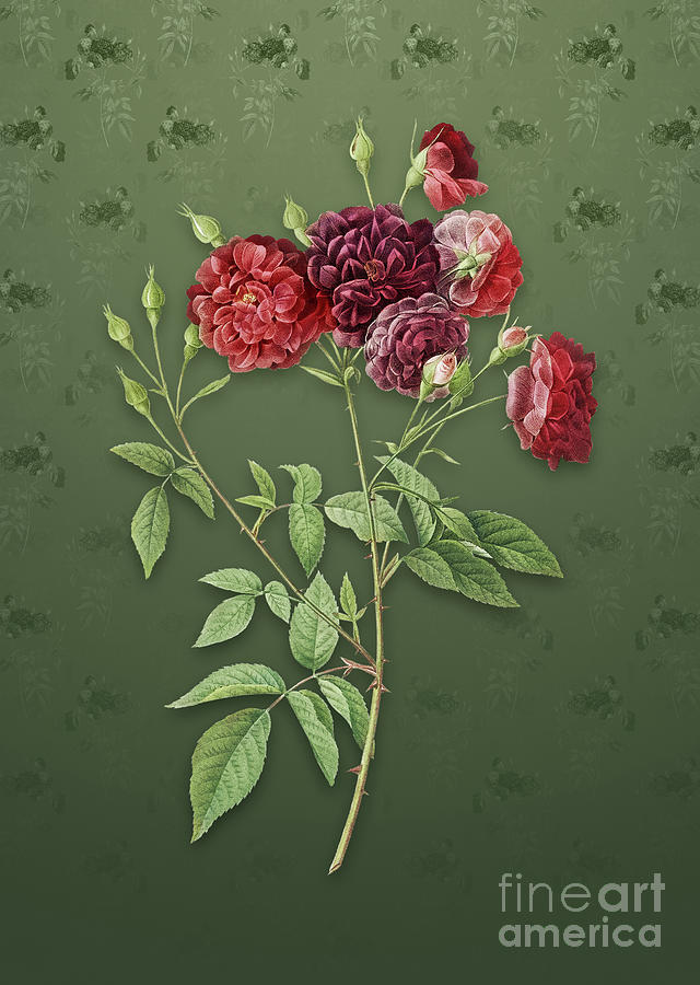 Vintage Ternaux Rose Bloom Botanical Art on Lunar Green Pattern n.1030 Mixed Media by Holy Rock Design