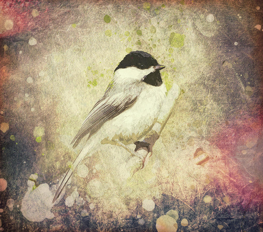 Vintage Textured Chickadee Bird Mixed Media by Dan Sproul