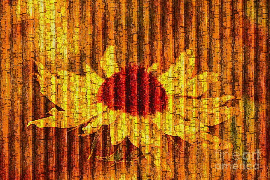 Vintage Textured Sunflower Photograph by Sea Change Vibes