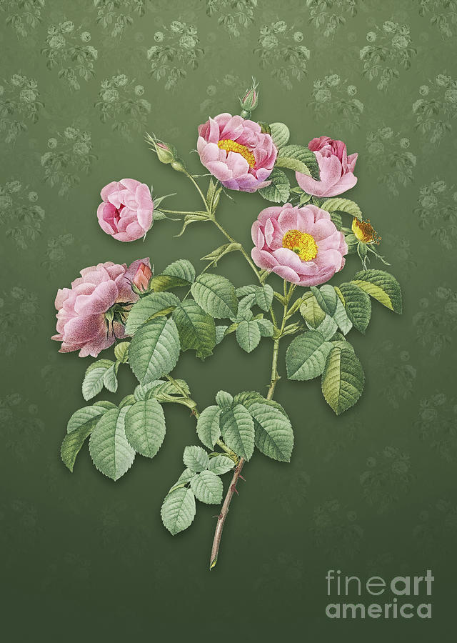 Vintage Tomentose Rose Botanical Art on Lunar Green Pattern n.1016 Mixed Media by Holy Rock Design