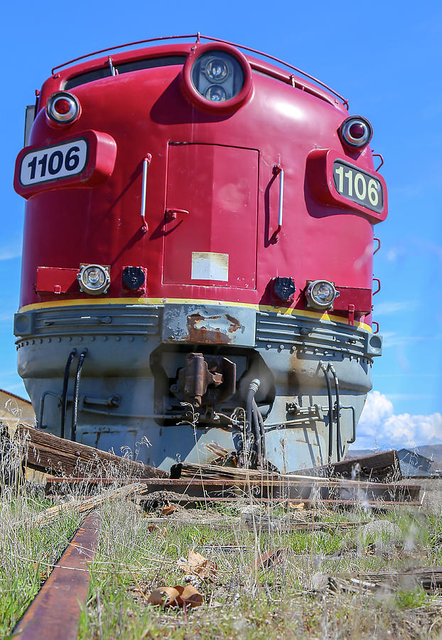 Vintage Train Photograph by Dart Humeston