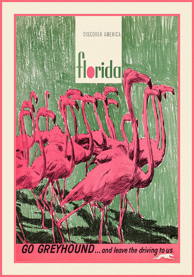 Vintage Travel Florida Photograph by Andrew Fare