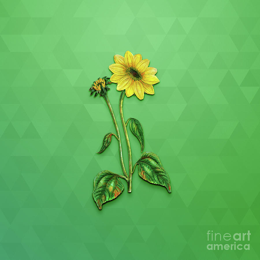 Vintage Trumpet Stalked Sunflower Botanical Art On Classic Green N.0318 Mixed Media
