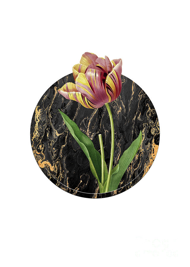 Vintage Tulip Art in Gilded Marble on Clean White Painting by Holy Rock Design