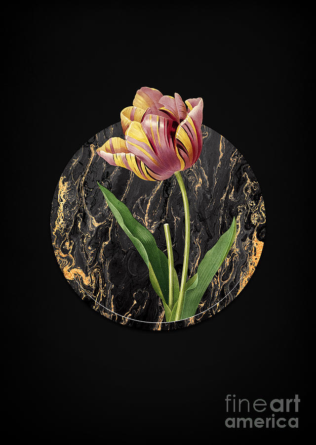 Vintage Tulip Art in Gilded Marble on Shadowy Black Painting by Holy Rock Design