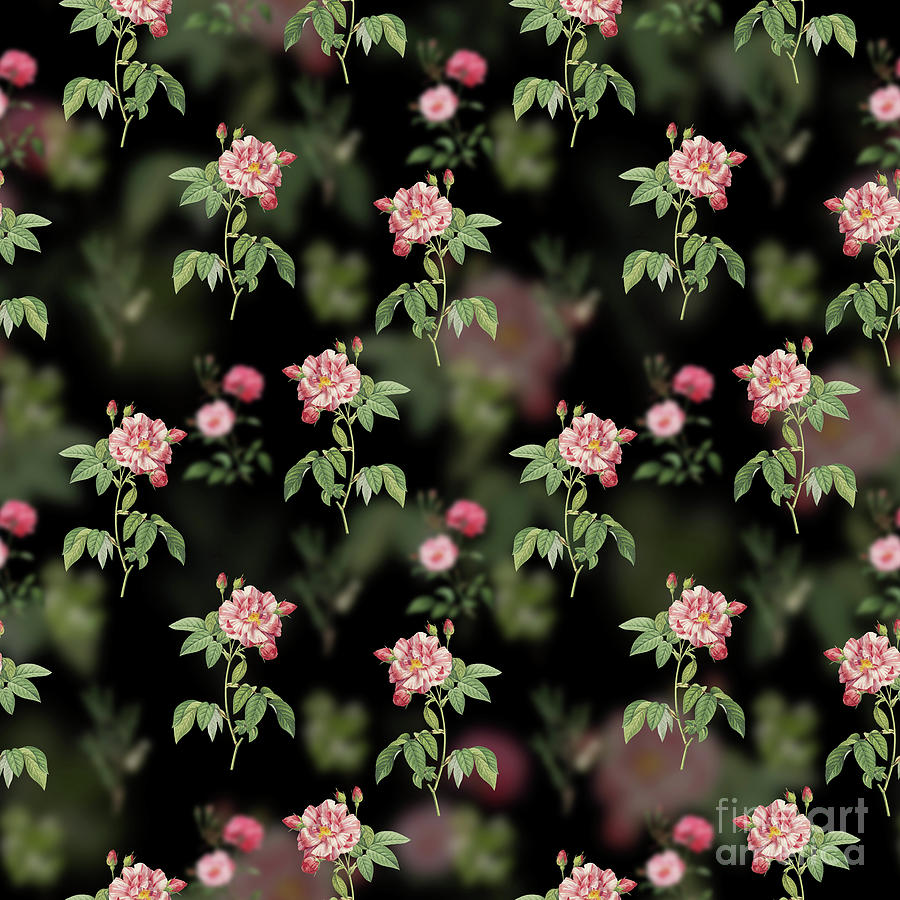 Vintage Variegated French Rosebush Floral Garden Pattern on Black n.2113 Mixed Media by Holy Rock Design
