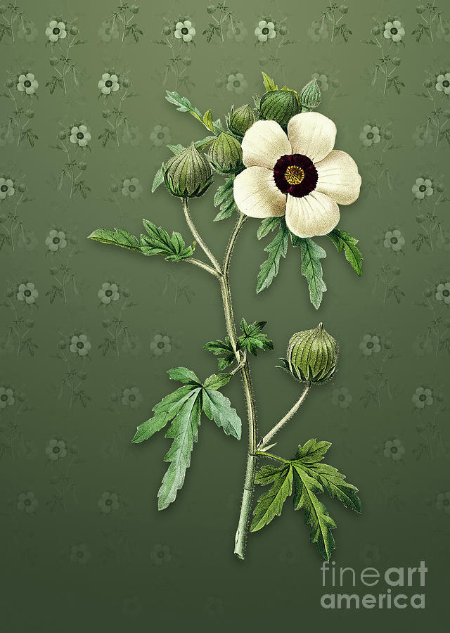 Vintage Venice Mallow Botanical Art on Lunar Green Pattern n.0976 Mixed Media by Holy Rock Design