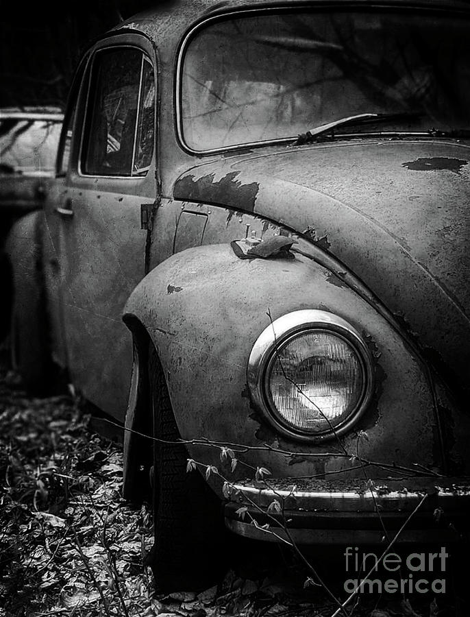 Vintage VW Beetle  Photograph by Doc Braham