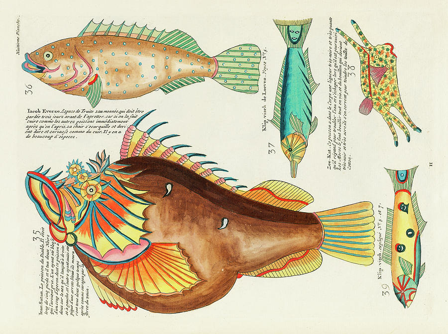 Vintage, Whimsical Fish And Marine Life Illustration By Louis Renard - Ican Satan, Klip Visch Digital Art
