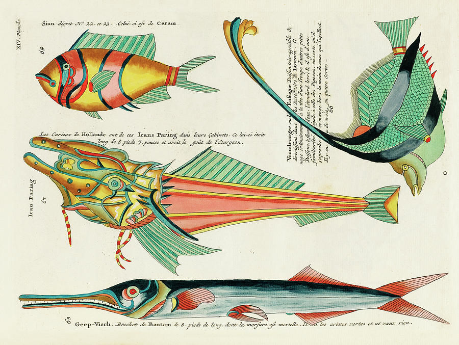 Vintage, Whimsical Fish and Marine Life Illustration by Louis Renard - Icans Paring, Vaandraager Digital Art by Louis Renard