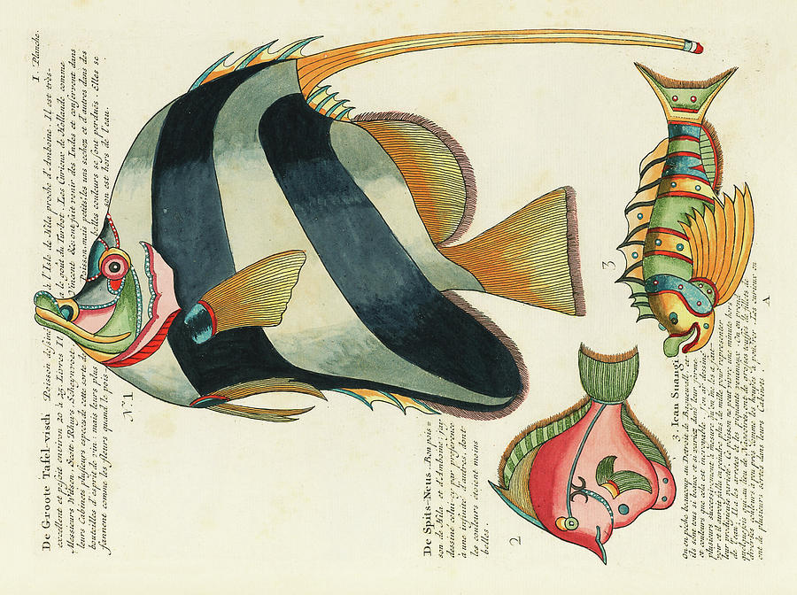 Vintage, Whimsical Fish And Marine Life Illustration By Louis Renard - The Great Table Fish, Suangi Digital Art