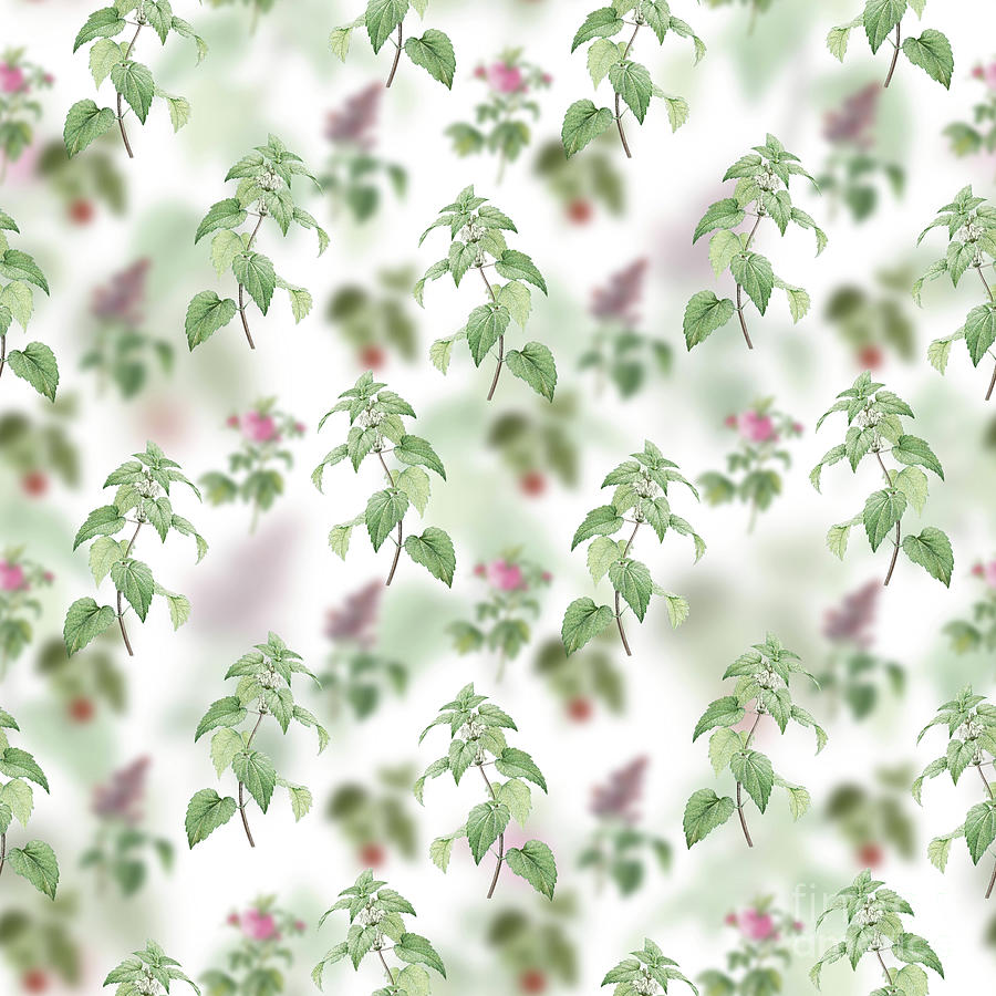 Vintage White Dead Nettle Plant Floral Garden Pattern on White n.2140 Mixed Media by Holy Rock Design