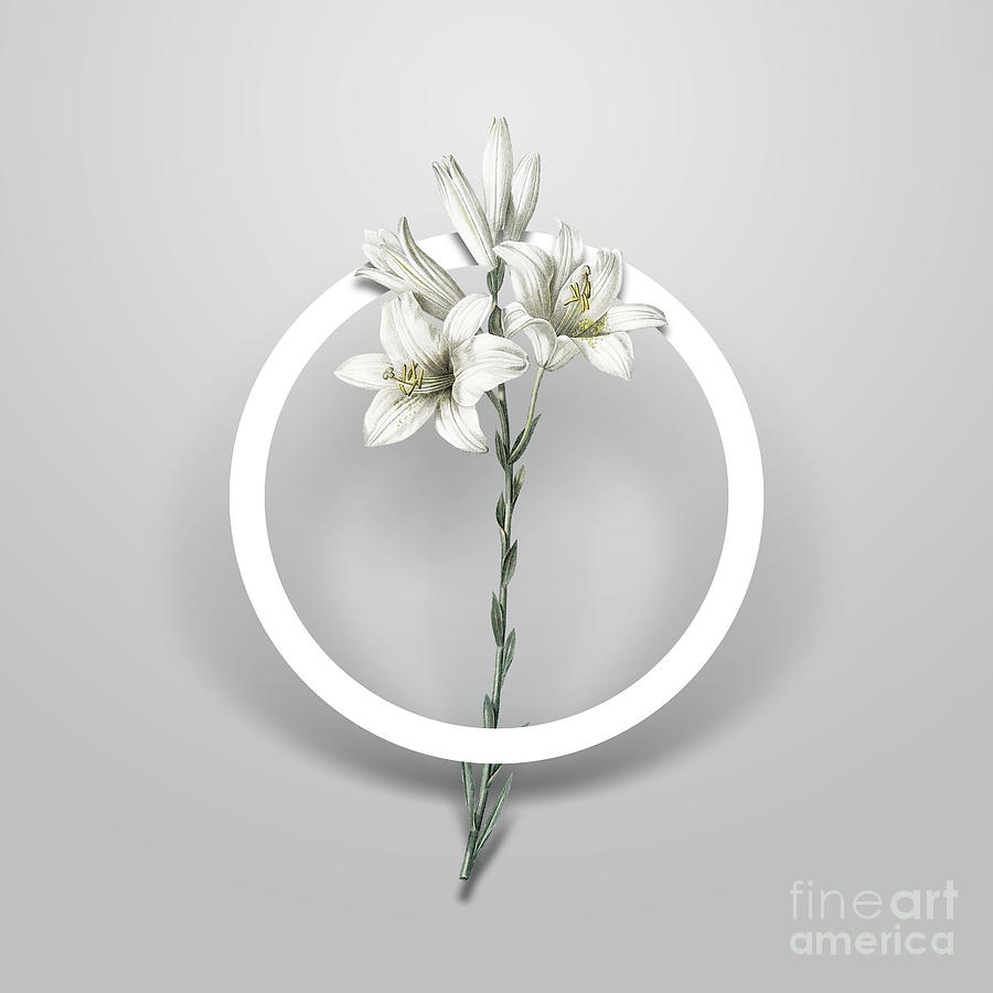 Vintage White Lily Minimalist Floral Geometric Circle Art N.622 Painting by Holy Rock Design