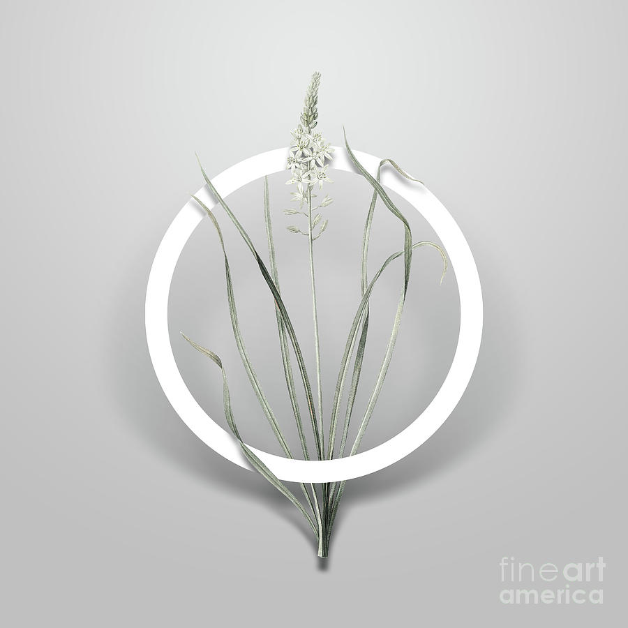 Vintage Wild Asparagus Minimalist Floral Geometric Circle Art N.613 Painting by Holy Rock Design