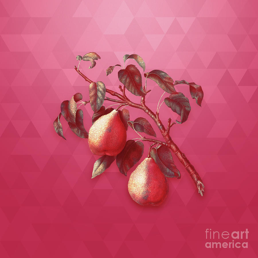 Vintage Wild European Pear in Gold on Viva Magenta Mixed Media by Holy Rock Design