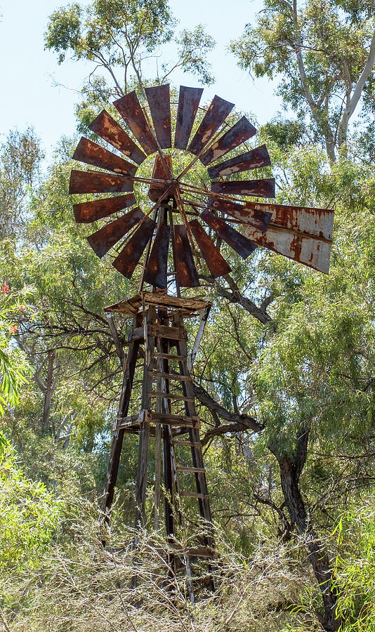 Vintage Windmill Photograph