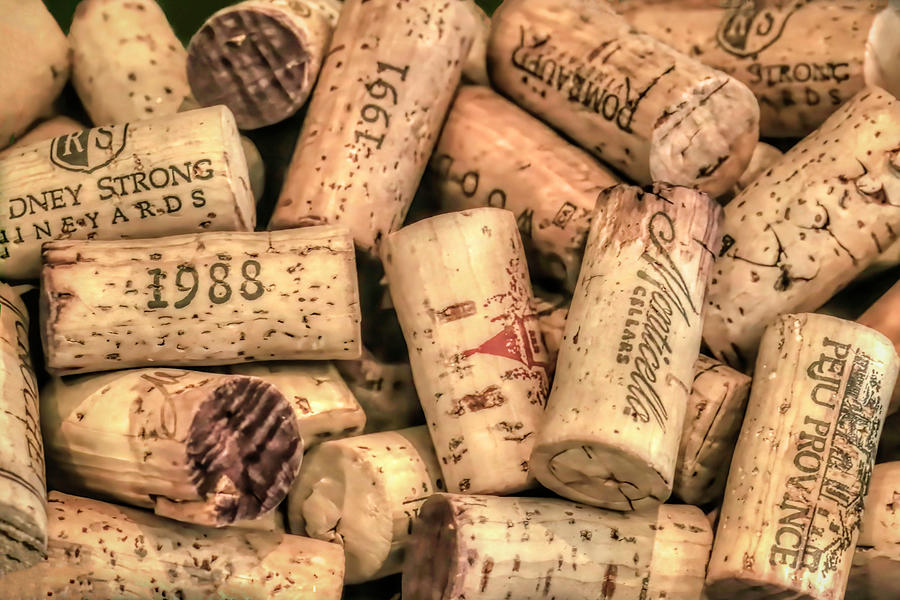Cork Photograph - Vintage Wine Corks by Donna Kennedy