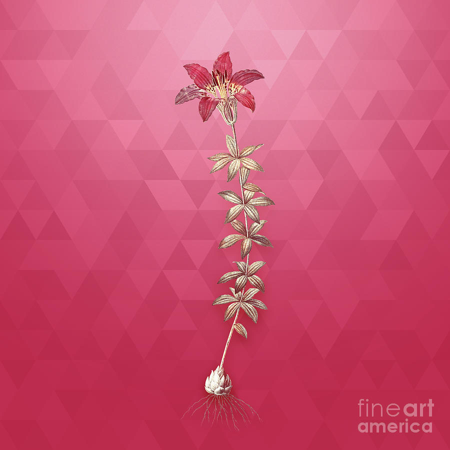 Vintage Wood Lily in Gold on Viva Magenta Mixed Media by Holy Rock Design